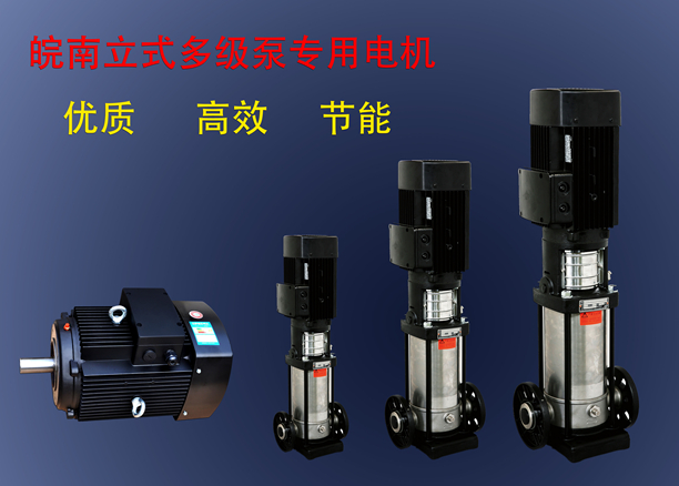 皖南立式多级泵专用电机